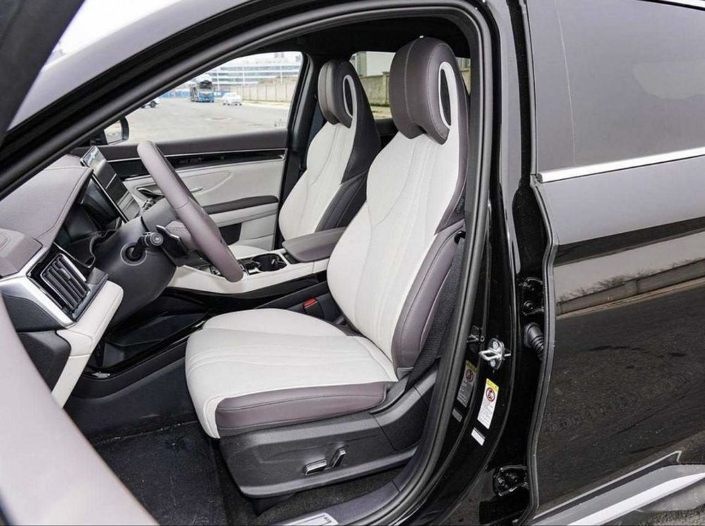 Byd chempion 2026 smart