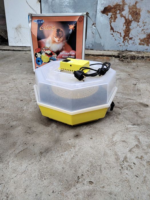 Incubator electric pentru oua, Cleo5