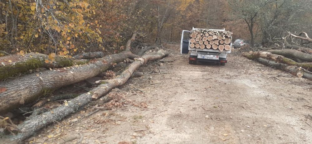 Vând lemne de foc la 320 lei metru esență tare cu transport gratuit