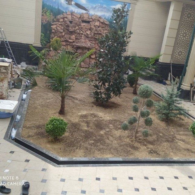 Gazon Ekamiz Lanshab qilamiz Archalarga shakil beramiz