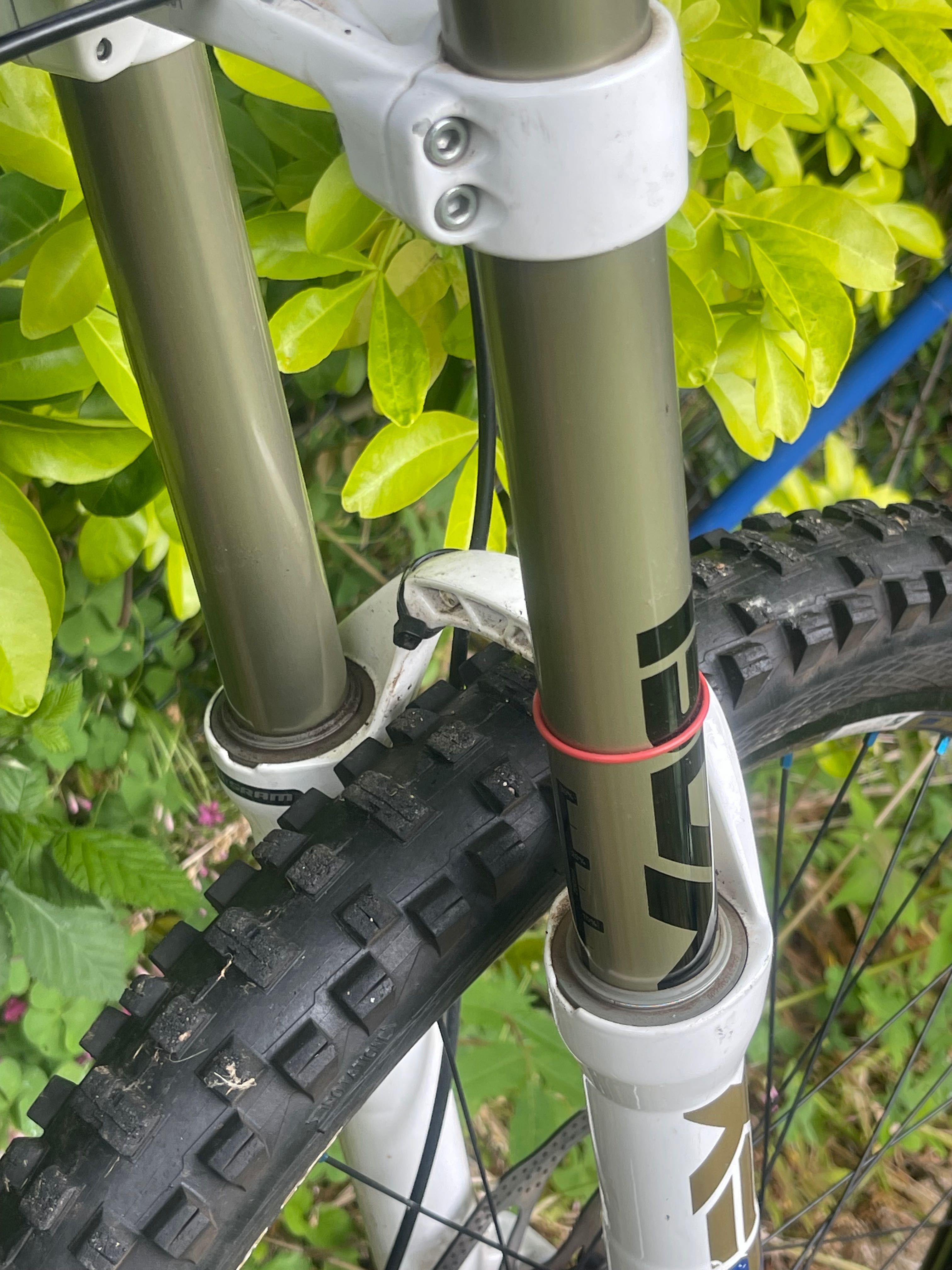 Giant Glory не saracen trek specialized yt