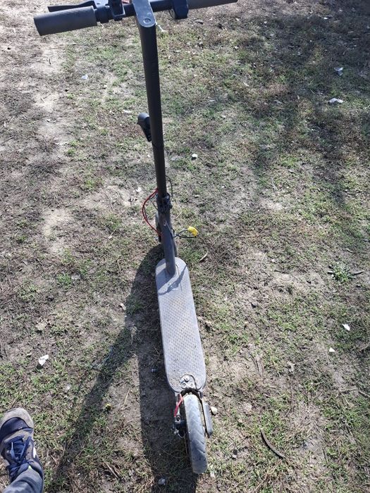 Schimb cu 100 de porumbei