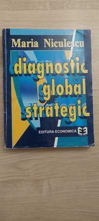 Diagnostic global strategic, Maria Niculescu