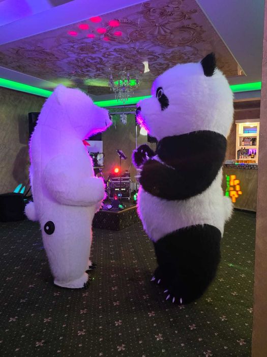 Ursuleți Dansatori Focuri