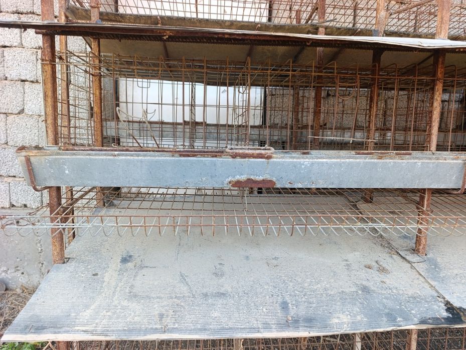 Tovuq katak 47 katak xar biriga 2 tadan tovuq sigadi tuxumi qoyadigon