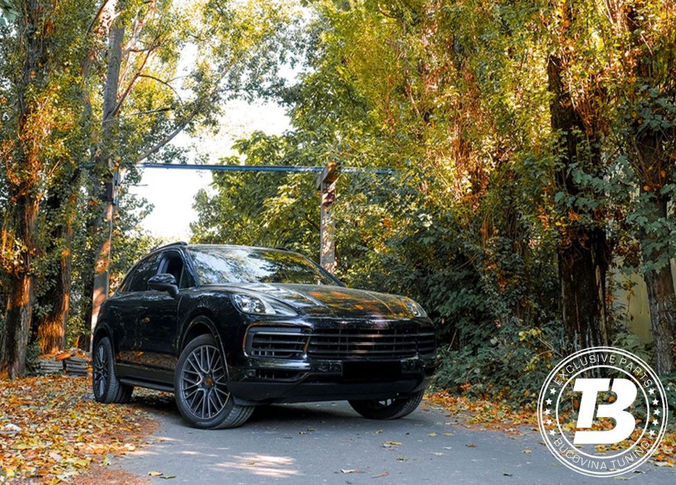 Praguri Aluminiu compatibile cu Porsche Cayenne SUV 9Y0