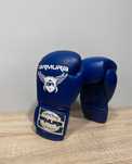Manusi de Boxing Armura