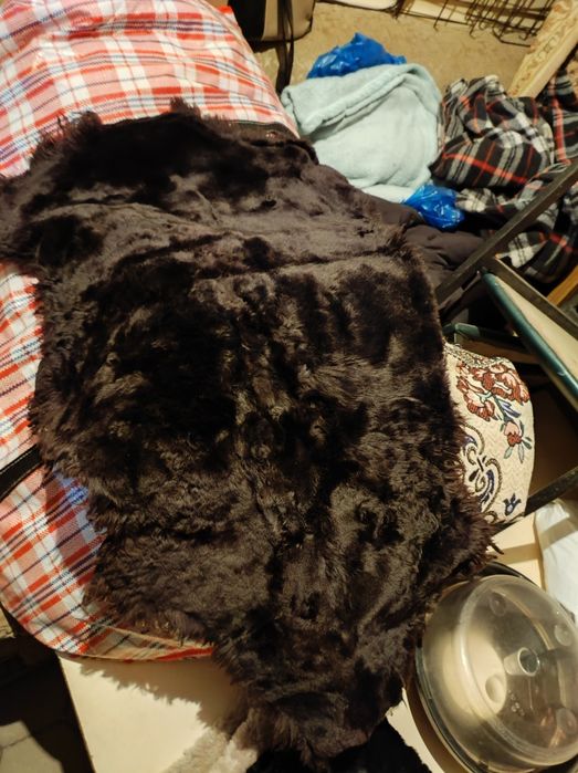 Продам шкурки овечий