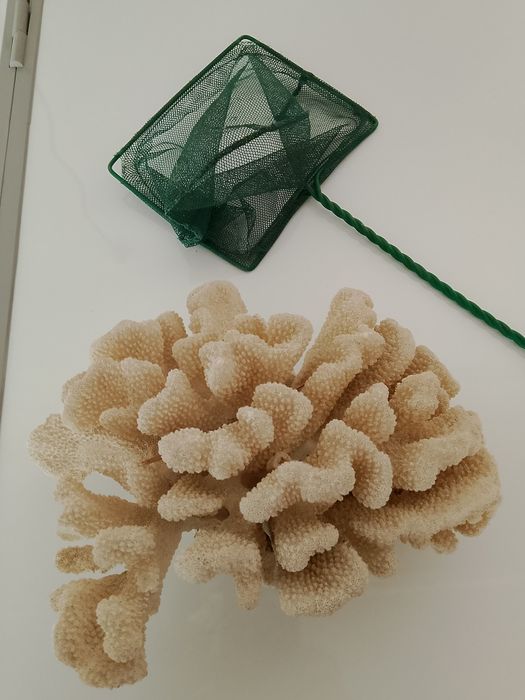 Baliqlar uchun akvarium toshi