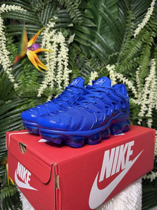 Nike Vapor Max Plus Blue