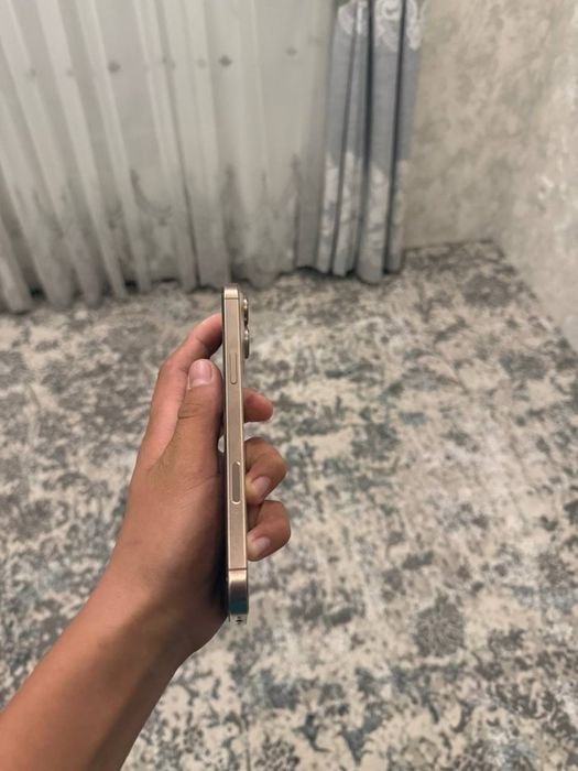 16 pro max 256 gb