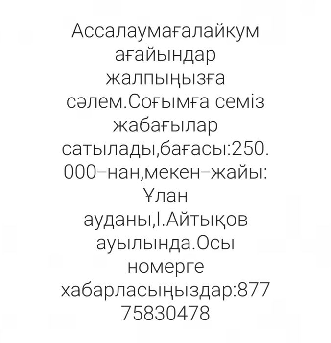 Соғымға семіз жабағылар