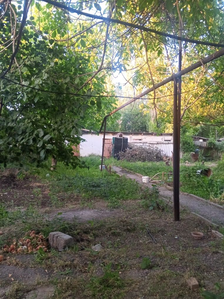 Дом Тюлькубас село Коксагыз