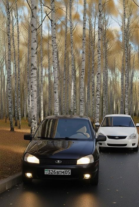 Лада Калина1 2011год