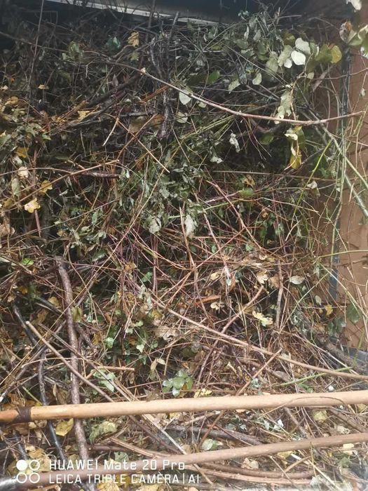 Изхвърляне на растителност 100-500лв (корени, храсти, клони и трева)