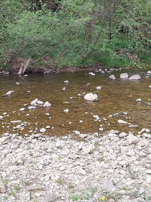 Vand teren de cabana muntele Vladeasa