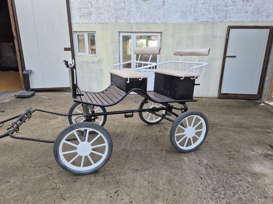 Trasura usoara caleasca