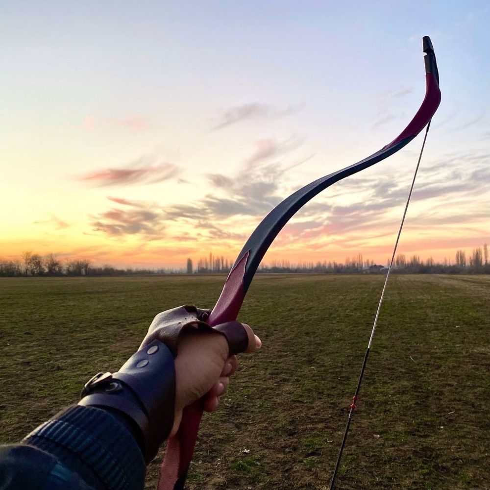 Камон Archer Professional  #35lbs лучник