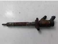 Injector Ford Peugeot Citroen 1.6 hdi 0445110239