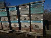 Продам вощину ,ульи ,рамки для пчеловодства Кокшетау