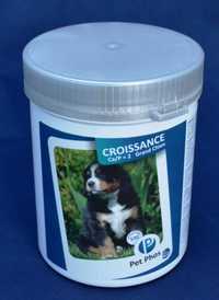 Pet Phos Croissance Grand Chien