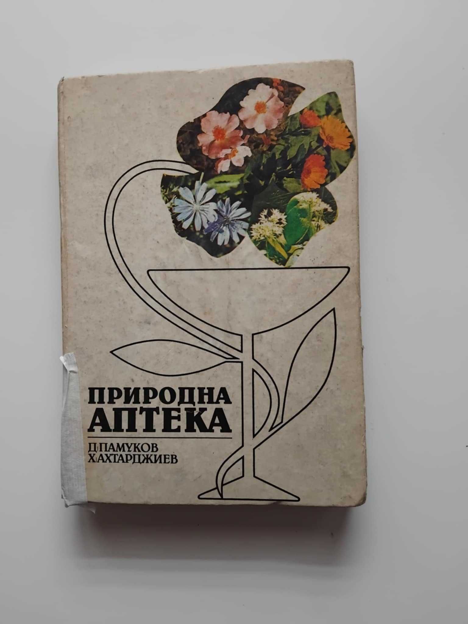 Да преборим без лекарства вътрешни и дихателни болести, лечебен масаж