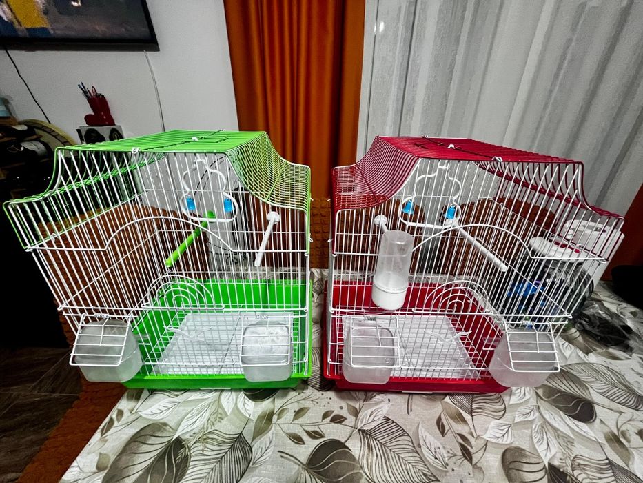 Vând colivii papagali ( peruși, canari, zebre, agapornita )