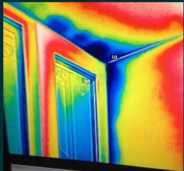 Услуги тепловизера все вопросы по телефону