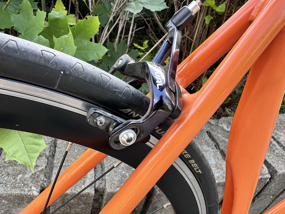 Single speed bike - Mango