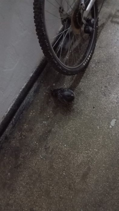 Vând bicicleta mountain bike