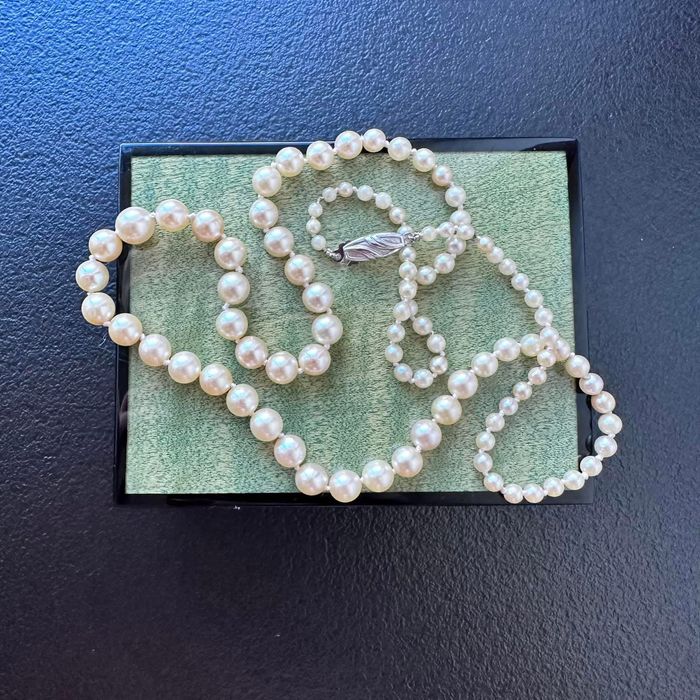 Perle naturale Akoya apă sărată 
50 cm inchezatore din argint