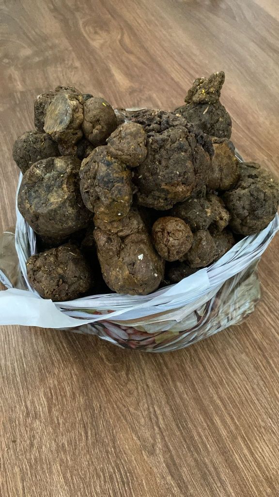 Прополис ( пчелен клей)