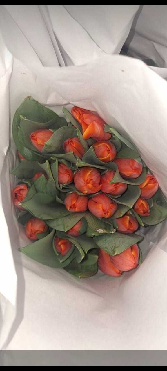 тюльпаны по  1000,1500 за 1 штуку с доставкойг.Астана