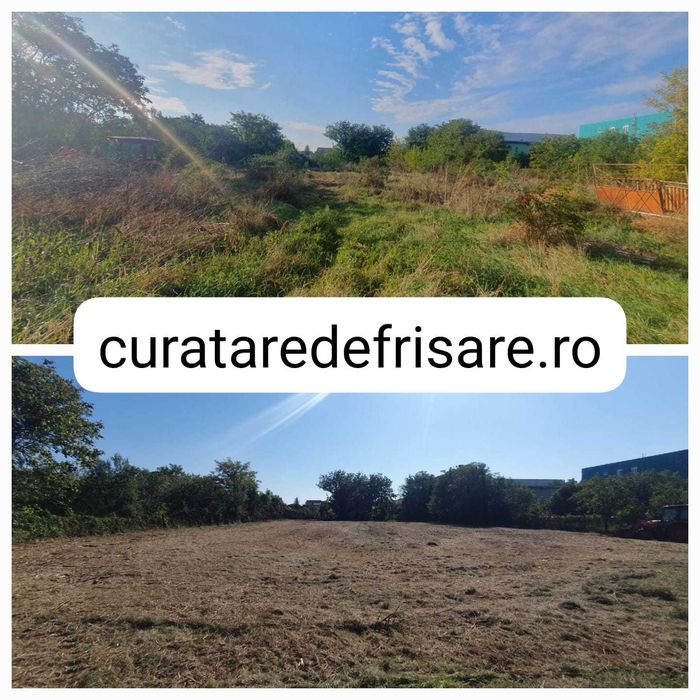 Curatare teren / defrisare / nivelare/ imprejmuire /intretinere anuala