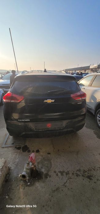 Xolati yashi kraskasi toza