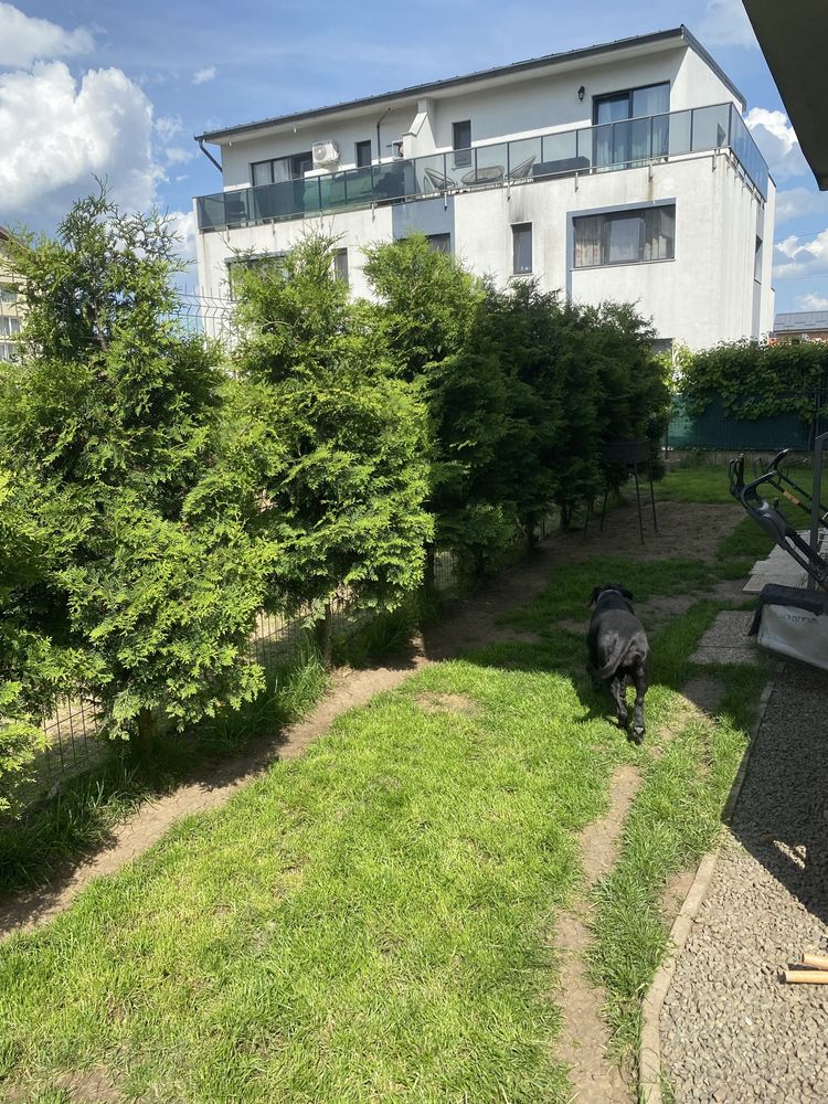 Apartament cu gardina Floresti