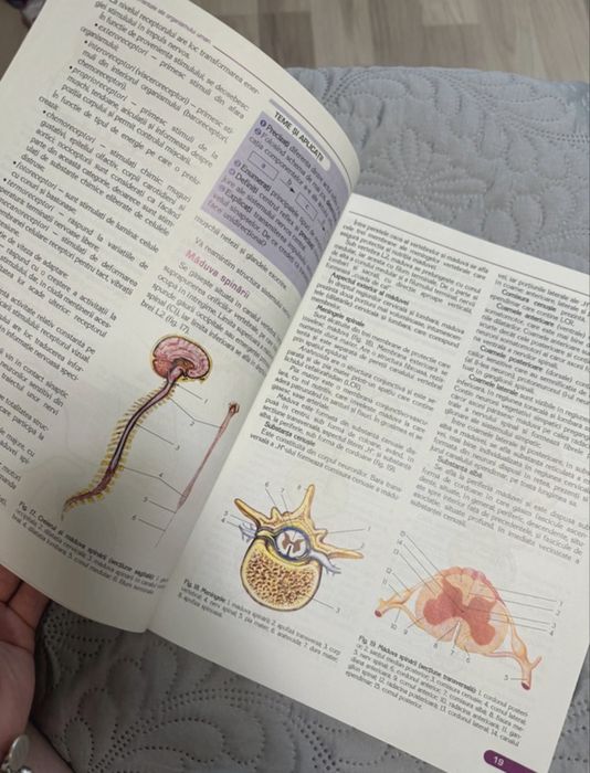 Manual biologie corint + carte de grile pe baza corintului