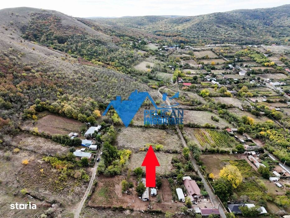 Teren intravilan NICULITEL, zona deosebita, 3044MP