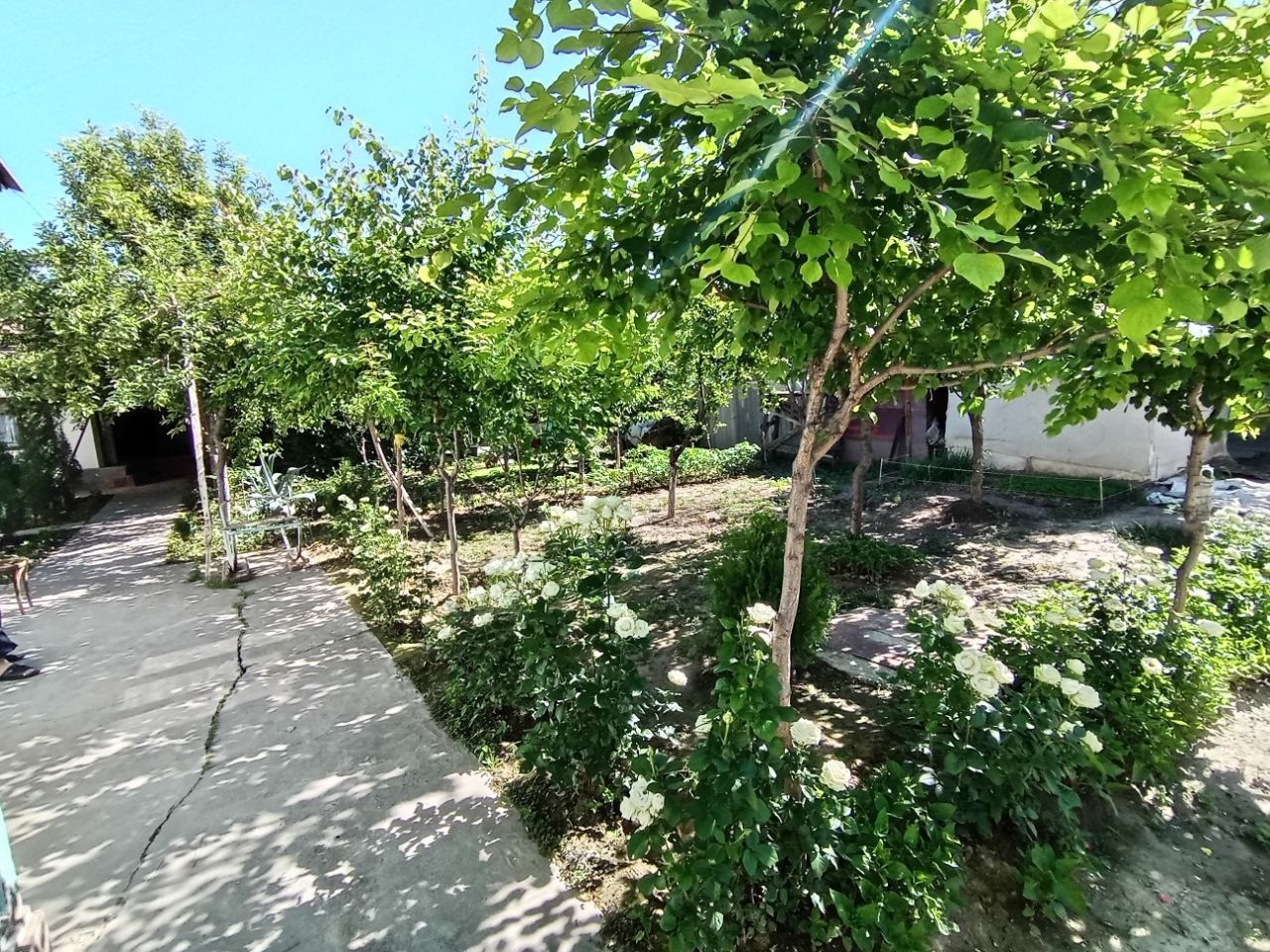 Учаска сотилади 12.5 сотик