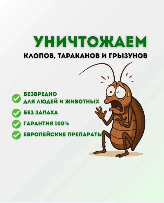 Дезинфекция дезинцекция дератизация