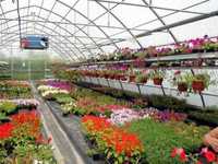 Защитите растения от погодных условий устойчивыми теплицами из спк