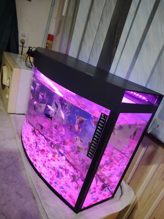 Akvarium 60Litr komplekt