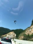 Reparatii Parbrize ciobituri crapaturi fisuri