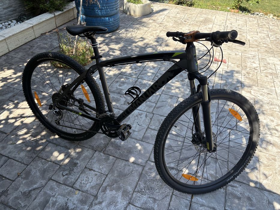 Vand bucicleta adulti