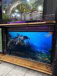 телевизор TCL 126см Smart TV 4Kс системой Android