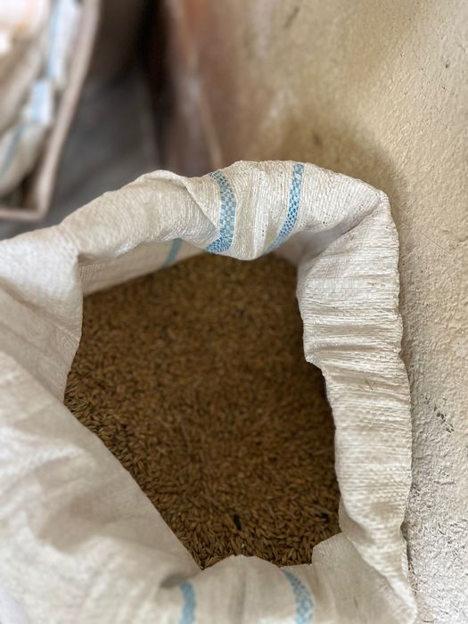 Vând furaj natural pentru animale