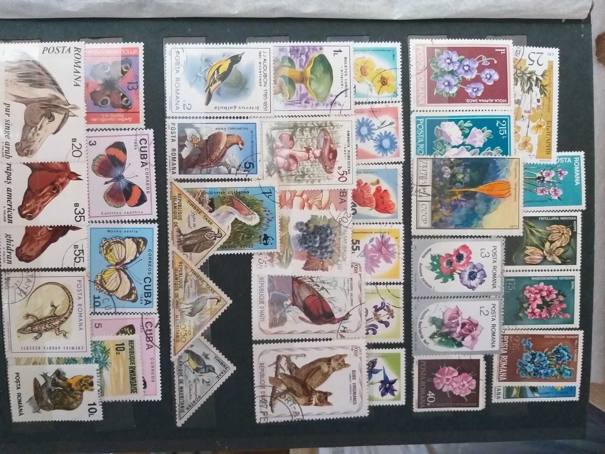 Clasor cu 200 de timbre 20 de pagini