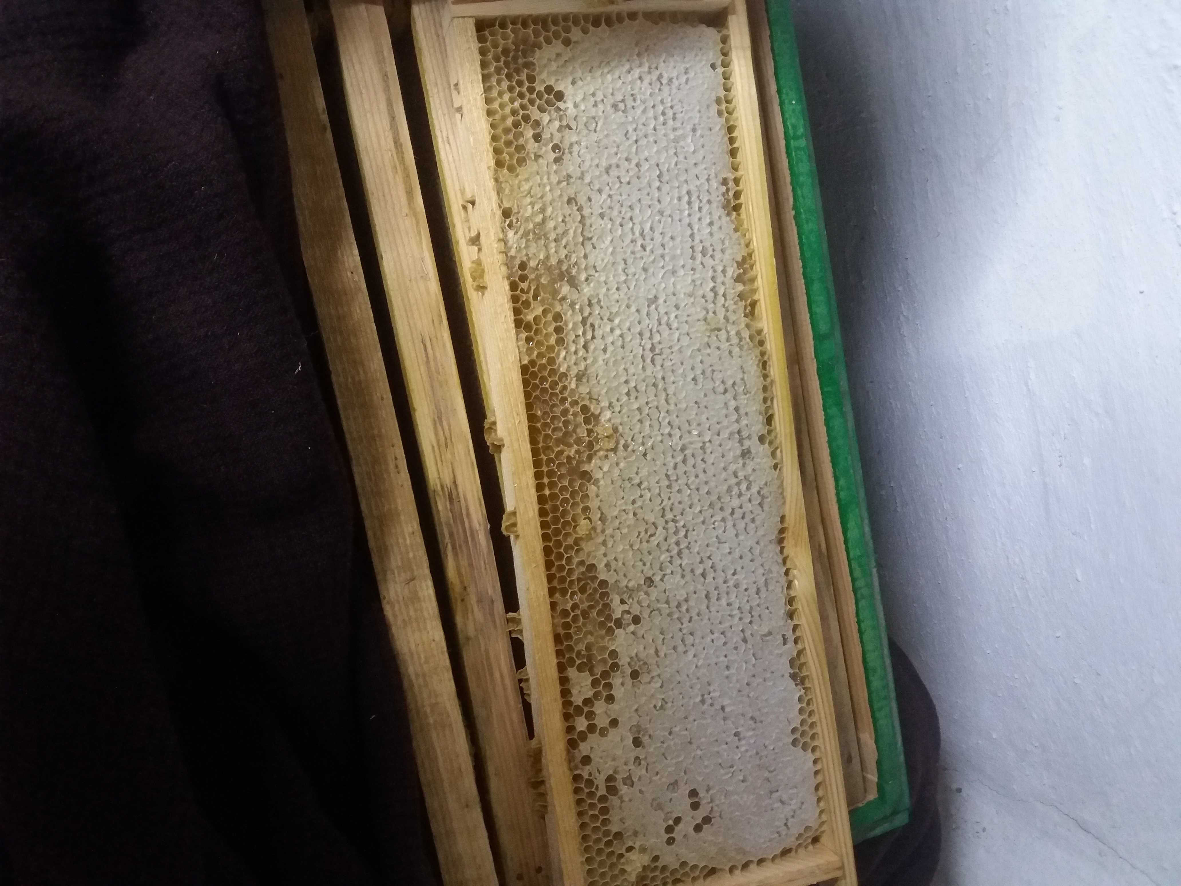 Продаем натуральный мед