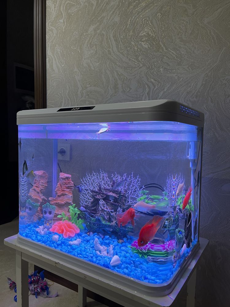 Akvaryum Xitoy Mini Akvarium 45 littlr
