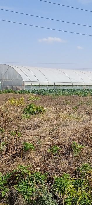 Sere cu Montaj. legume flori solare 70 ron